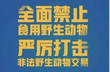 云南7月1日起，全面禁止非法野生动物交易行为