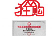 狂购商城被选为华为官网国内唯一电商精选案例