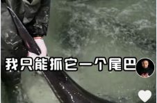 小关老师｜在成为抖音带货达人前，他是“撒野”的米其林三星厨师