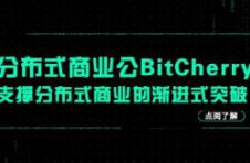 分布式商业公链BitCherry：支撑分布式商业的渐进式突破