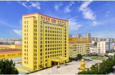 鲁花：党建引领，化“软实力”为“新动能”