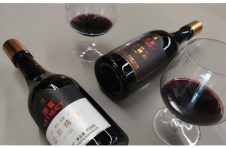 茅台悠蜜引领果酒消费新力量