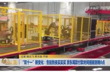 今年双十一购物体验新升级 “晚8点”预售引热议