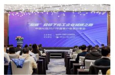 中国石油化工循环经济研究院举行“双碳目标下化工企业减碳之路”研讨会 中国石油化工循环经济研究院举行“双碳目标下化工企业减碳之路”研讨会