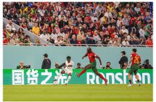 出圈的“国货之光”，在世界杯上闪耀光芒！