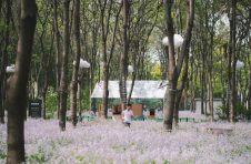 2023年北京森林城市艺术节正式启动，打造“公园文化生态”IP，让城市与自然融合共生，影像艺术季留驻自然之美