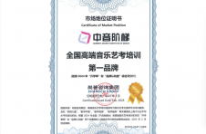 市场地位证明：中音阶梯，中国高端音乐艺考培训机构第一品牌