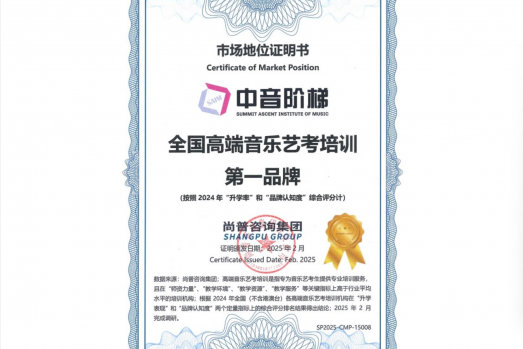 市场地位证明：中音阶梯，中国高端音乐艺考培训机构第一品牌